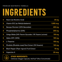 Everyday Boost Nootropic