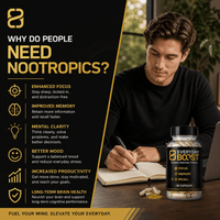Everyday Boost Nootropic